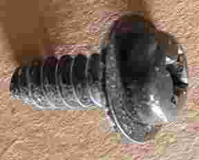 ars-38.jpg