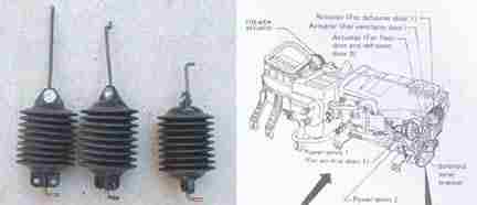 ccav-38-2.1.jpg