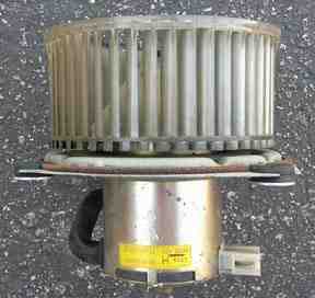 ccf-38.jpg