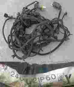 ebwh-21P60.jpg
