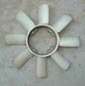 fan-38.jpg